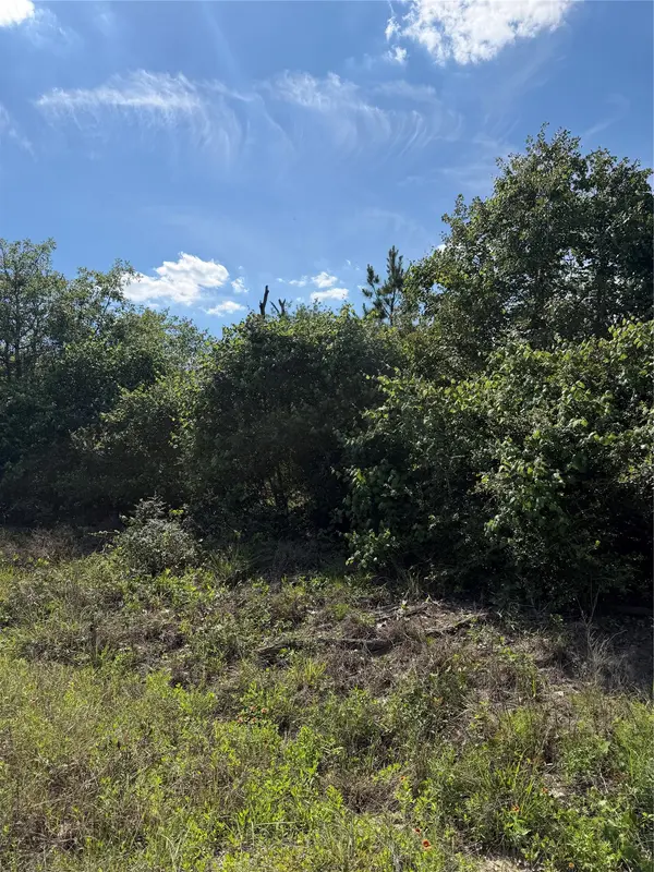TBD Mockingbird LN, Bastrop, TX 78602
