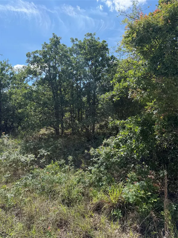 TBD Mockingbird LN, Bastrop, TX 78602
