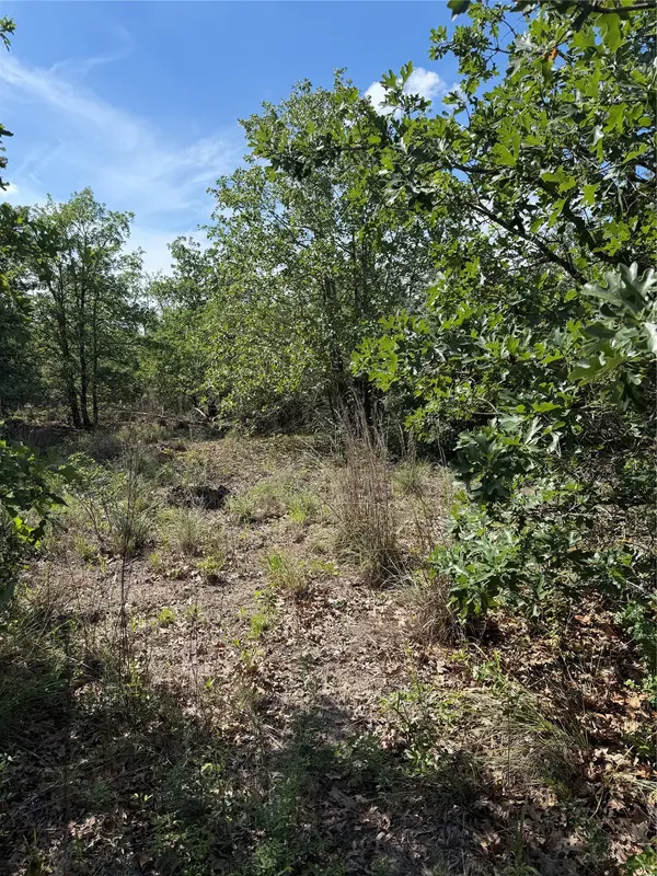 TBD Mockingbird LN, Bastrop, TX 78602