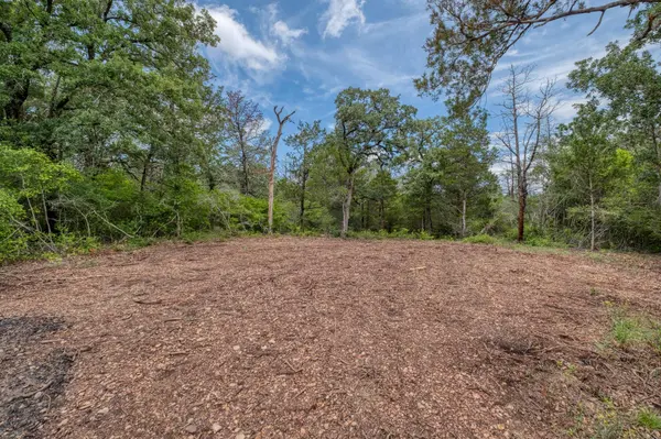 TBD Pathfinders WAY, Smithville, TX 78957