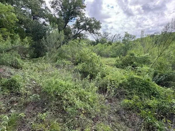19615 Terra Mont DR, San Antonio, TX 78255