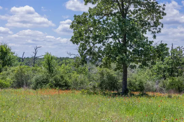 1004 22 Hills RD, Gause, TX 77857