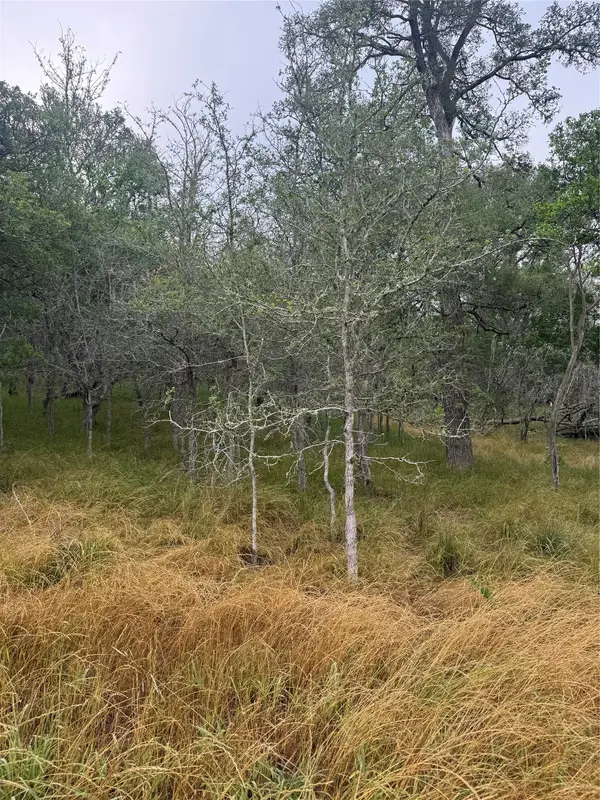 107 Hauula CT, Bastrop, TX 78602