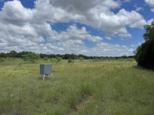 312 Oak Stump DR, Goldthwaite, TX 76844