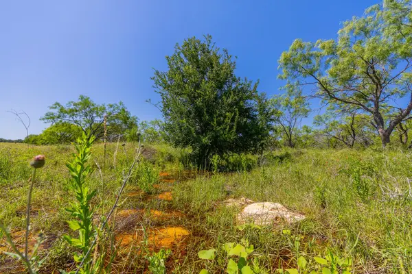 TBD County Road 180 Rolling Pond Ranch RD, Purmela, TX 76566