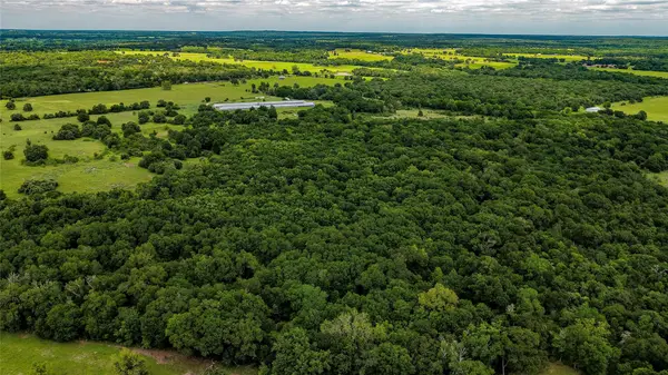 ESMT County Road 302, Rockdale, TX 78947