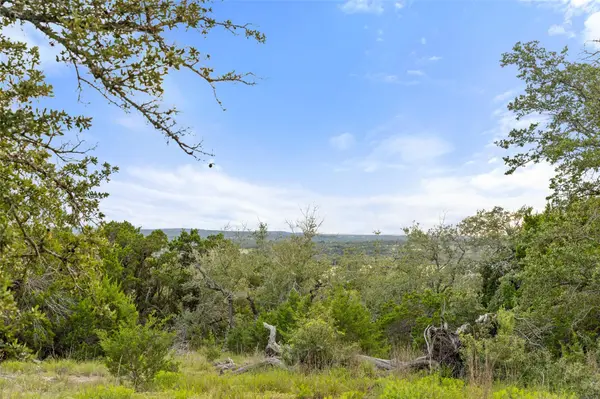 31860 Mirela Ann RD, Dripping Springs, TX 78620
