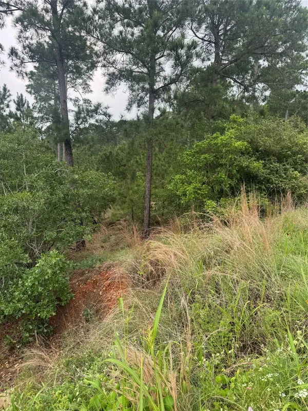 Lot 1613 Kaanapali LN, Bastrop, TX 78602