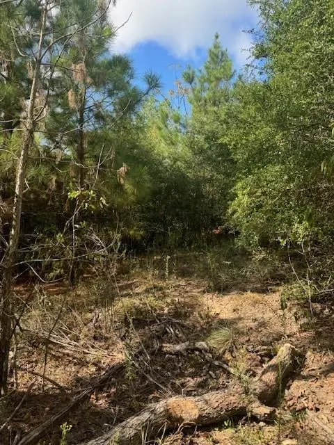 Lot 1338 Tahitian DR, Bastrop, TX 78602