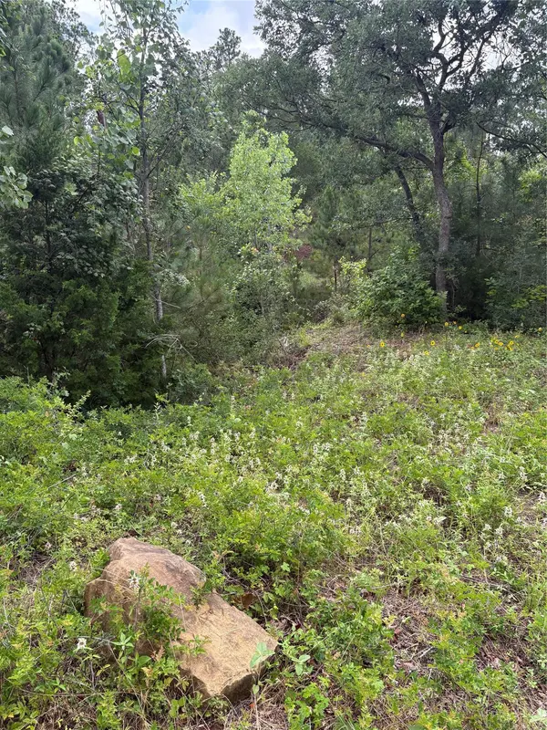 TBD Kaena LN, Bastrop, TX 78602