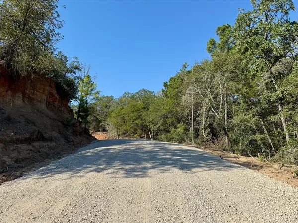 TBD Lot 1232 Hanauma DR, Bastrop, TX 78602