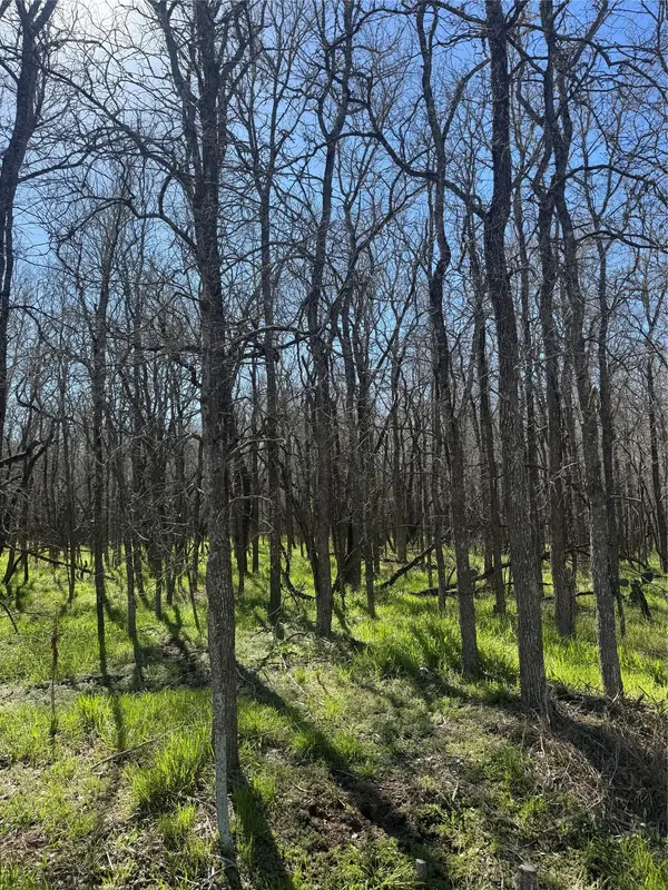 289 Iva LN, Bastrop, TX 78602