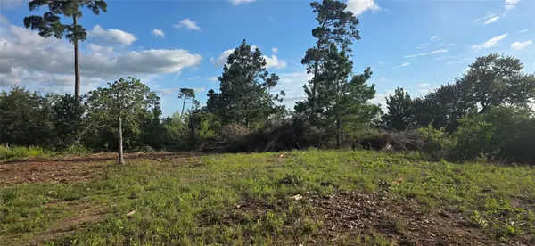 400 McAllister RD, Bastrop, TX 78602