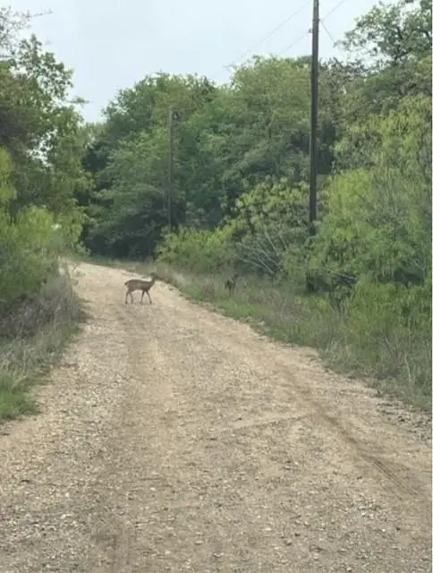 Lot 755 Bali Hai LN, Bastrop, TX 78602