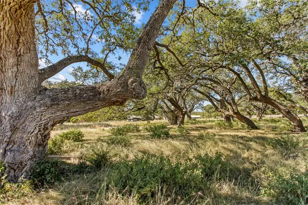 1316 Greenlawn PKWY, Blanco, TX 78606