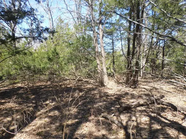 273 Unit H Walter Hoffman RD, Cedar Creek, TX 78612