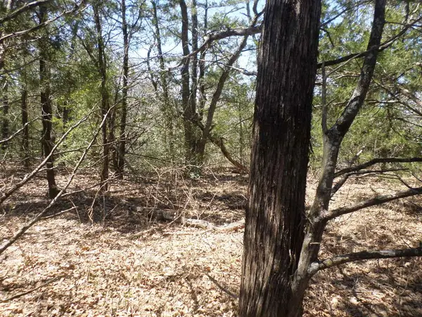 273 Unit H Walter Hoffman RD, Cedar Creek, TX 78612