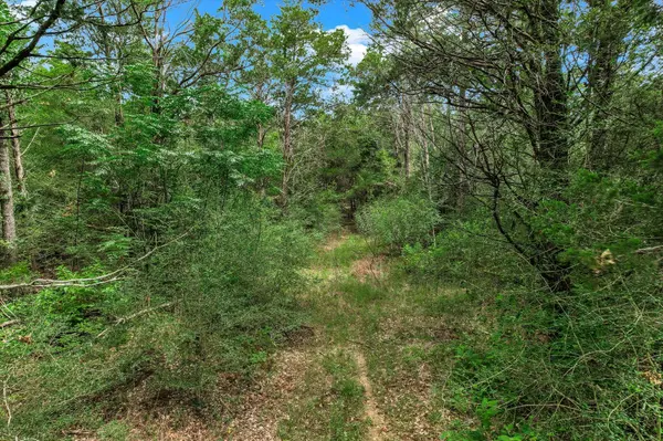 TBD Tracts 12-13 High Crossing RD, Smithville, TX 78957
