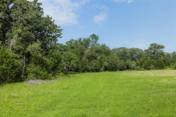 TBD County Road 459 RD, Thorndale, TX 76577