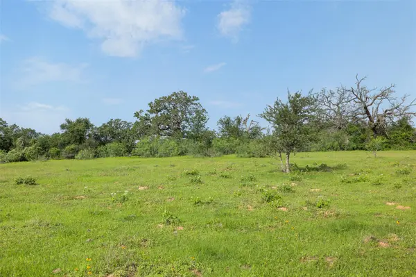 TBD County Road 459 RD, Thorndale, TX 76577