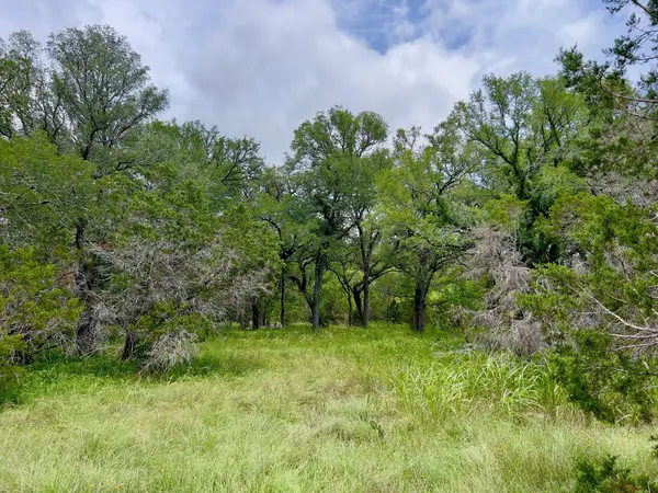 TBD Lot PT 19 Narrows RD, Blanco, TX 78606