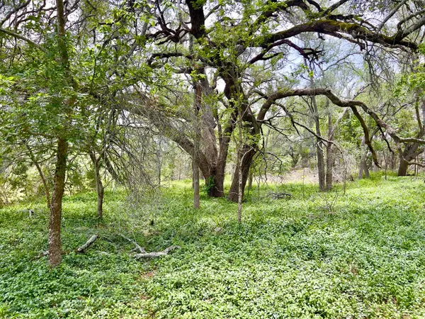 TBD Lot PT 19 Narrows RD, Blanco, TX 78606