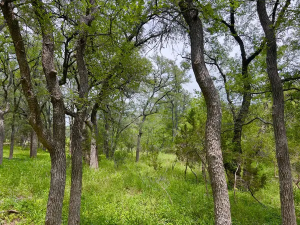 TBD Lot PT 19 Narrows RD, Blanco, TX 78606