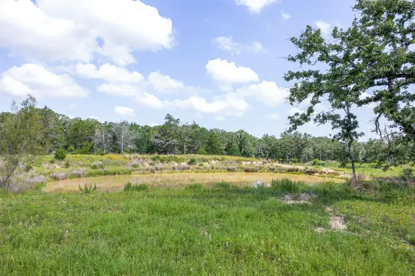 305 Cistern RD, Rosanky, TX 78953