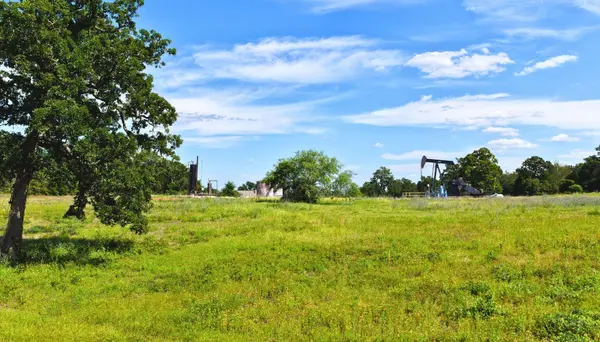 (Tract 2) Green Hill Road (+/-10.2 acres), Caldwell, TX 77836