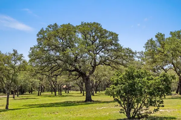 118 E Crestview DR, Johnson City, TX 78636