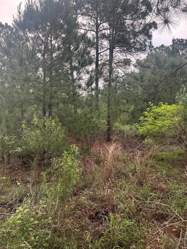 Lot 1490 Haleakala, Bastrop, TX 78602