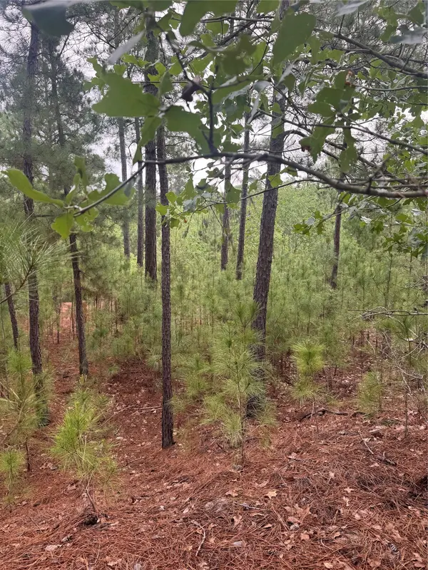 Lot 1490 Haleakala, Bastrop, TX 78602