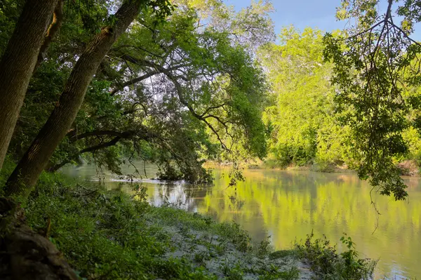 CR 343 CR 343, Gonzales, TX 78629