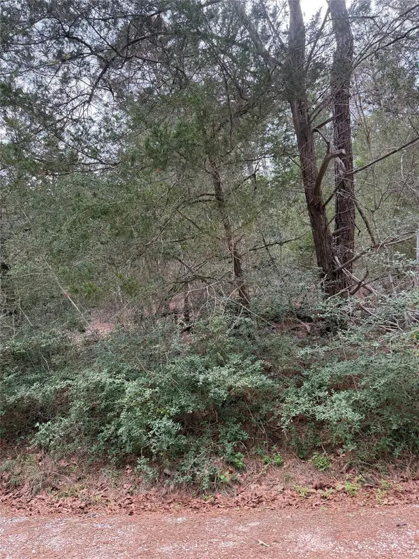 Lot 1428 Keeau CT, Bastrop, TX 78602