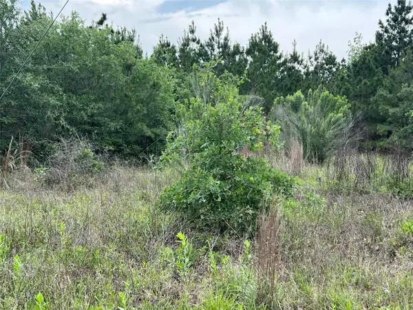 TBD Blue Jay RD, Bastrop, TX 78602