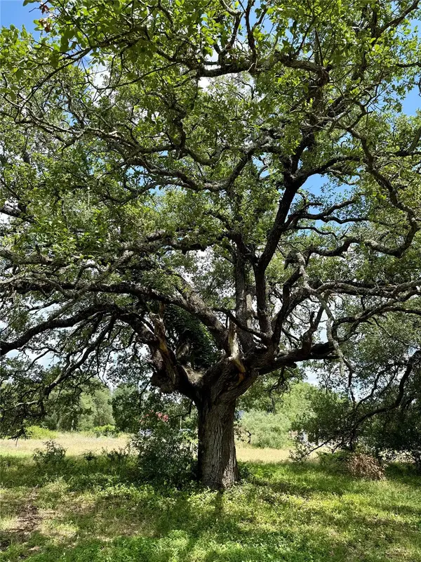 731 Santa Maria RD, Salado, TX 76571