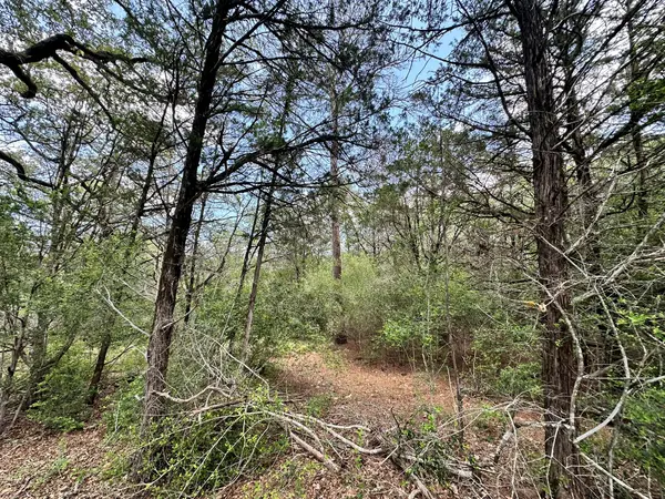 000 Oah CT, Bastrop, TX 78602