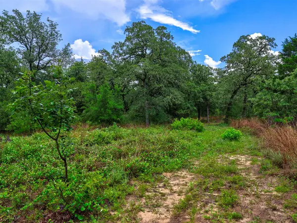 1420 CR C, Lexington, TX 78947