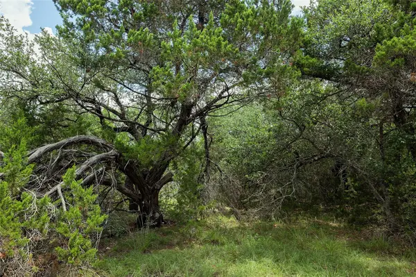 179 Shawnee TRL, Dripping Springs, TX 78620
