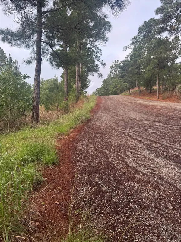 Lot 1491 Haleakala, Bastrop, TX 78602