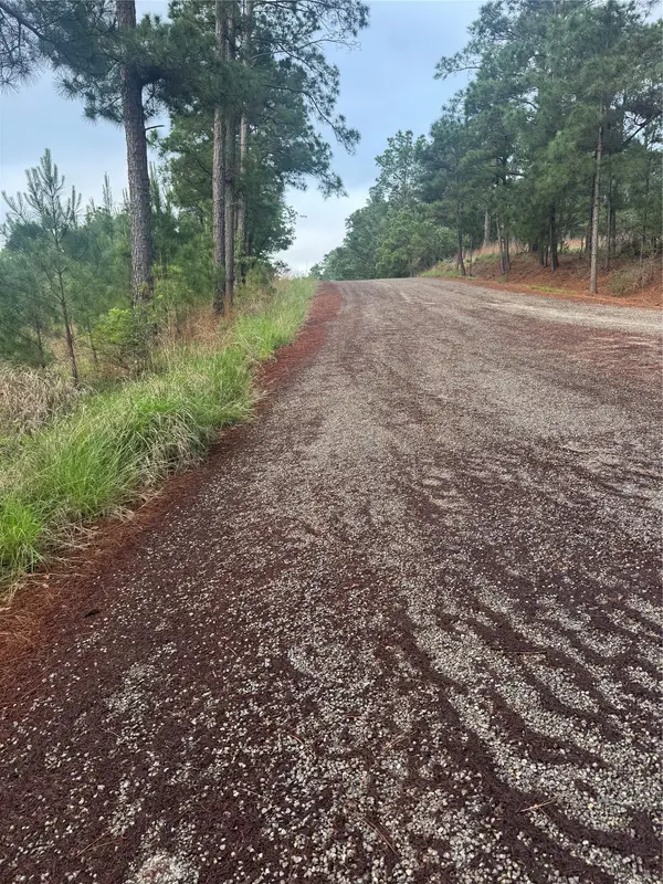Lot 1491 Haleakala, Bastrop, TX 78602