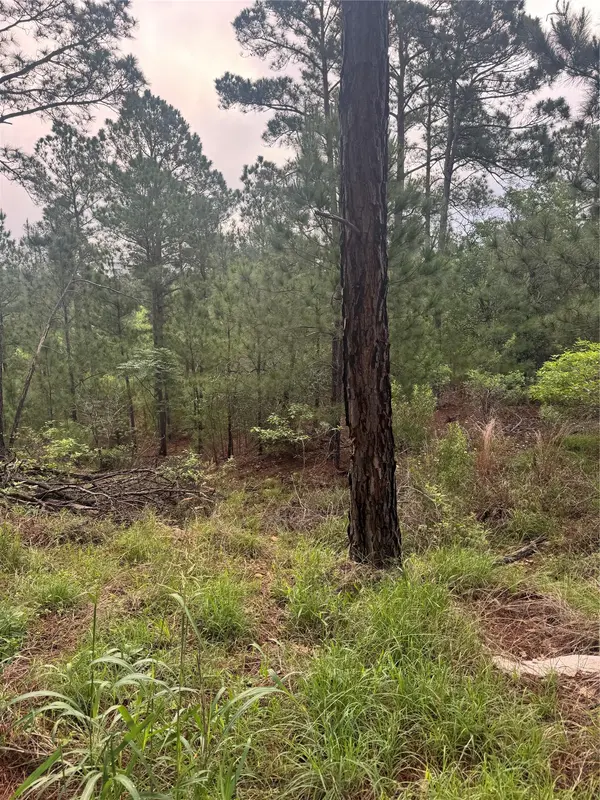 Lot 1491 Haleakala, Bastrop, TX 78602