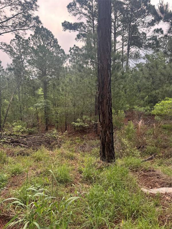 Lot 1491 Haleakala, Bastrop, TX 78602