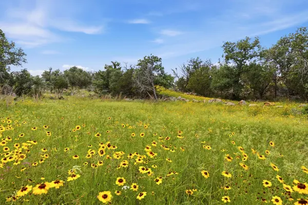 (Lot 30) Peninsula DR, Burnet, TX 78611