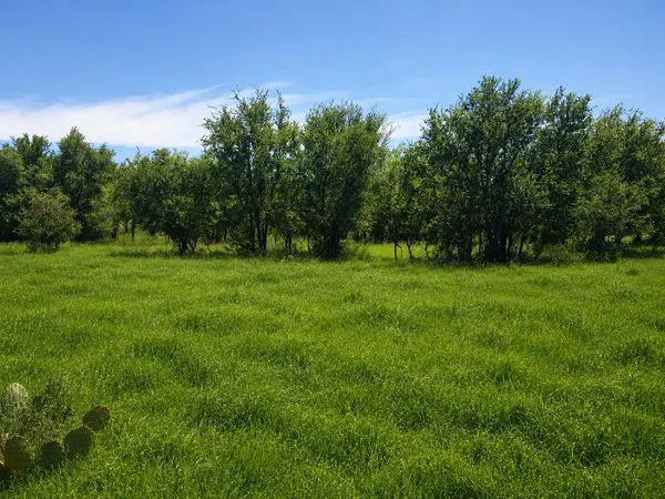 TBD E FM 580, Lampasas, TX 76550