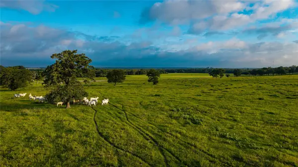 000 Hofferek RD, Rosanky, TX 78953