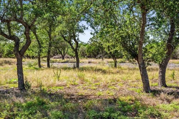 300 Stonegate LN, Dripping Springs, TX 78620