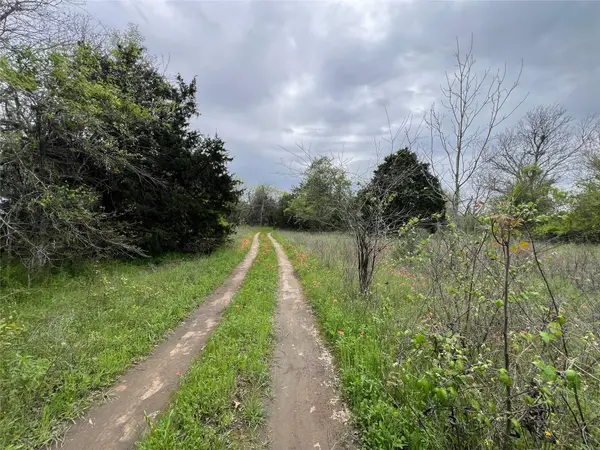 0B FM 86, Red Rock, TX 78662
