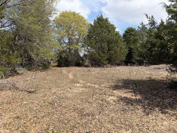 118 Edmonson Ranch RD, Mcdade, TX 78650