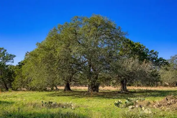 4772-2 County Road 340, Burnet, TX 76905
